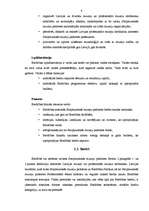 Referāts 'Starptautiskā muzeju padome (ICOM)', 9.