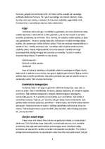 Konspekts 'Haikas - japāņu dzejas forma', 4.