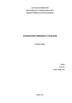 Referāts 'Apgrozāmo līdzekļu uzskaite', 1.