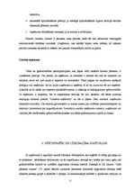 Referāts 'Apgrozāmo līdzekļu uzskaite', 17.