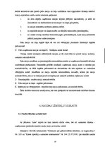 Referāts 'Apgrozāmo līdzekļu uzskaite', 19.