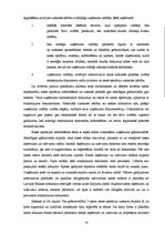 Referāts 'Apgrozāmo līdzekļu uzskaite', 20.