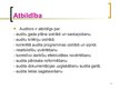 Prezentācija 'Audits', 11.