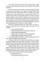 Referāts 'Investīciju projekta novērtēšana', 6.