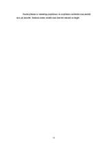 Referāts 'Investīciju projekta novērtēšana', 13.