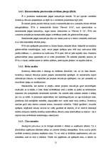 Referāts 'Investīciju projekta novērtēšana', 21.