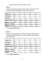 Referāts 'Investīciju projekta novērtēšana', 24.