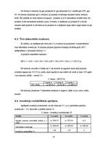 Referāts 'Investīciju projekta novērtēšana', 26.