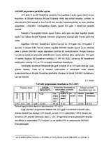 Diplomdarbs 'ES strukturālie fondi un to darbība Latvijā', 19.