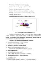 Diplomdarbs 'ES strukturālie fondi un to darbība Latvijā', 49.