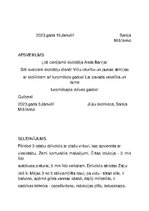 Paraugs 'Oficiālie lietišķie teksti un privātie lietišķie teksti', 5.