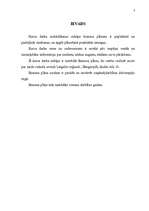 Biznesa plāns 'SIA "Ziedu pasaule"', 4.