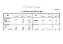 Biznesa plāns 'SIA "Ziedu pasaule"', 29.