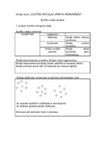 Konspekts 'Kustību rotaļas 1-4.klasei un vidusskolai', 1.