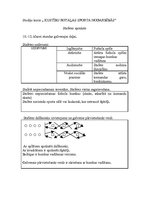 Konspekts 'Kustību rotaļas 1-4.klasei un vidusskolai', 3.