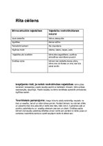 Konspekts 'Bērnudārza cēliens - rīts', 1.