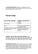 Konspekts 'Bērnudārza cēliens - rīts', 4.