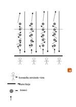 Referāts 'Sporta stafete 9.klases ieskaitei', 4.