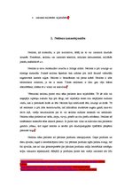 Referāts 'Neilons un tā izmantošanas veidi', 5.