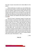 Referāts 'Neilons un tā izmantošanas veidi', 6.