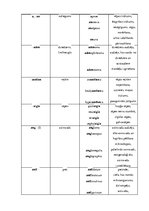 Konspekts 'Terminelementi - latīņu valoda', 3.