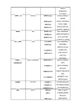 Konspekts 'Terminelementi - latīņu valoda', 4.