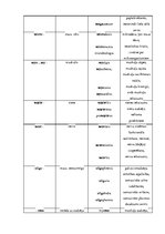 Konspekts 'Terminelementi - latīņu valoda', 10.