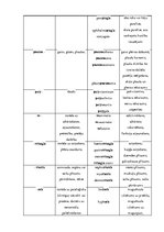 Konspekts 'Terminelementi - latīņu valoda', 13.