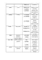 Konspekts 'Terminelementi - latīņu valoda', 16.