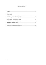 Referāts 'Puikas tēls latviešu filmās. Nacionālā identitāte', 2.