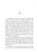 Referāts 'Lietuvas Republikas Muitas administrācijas stratēģijas novērtējums', 3.