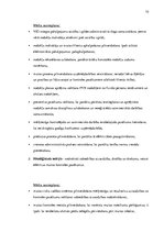 Referāts 'Lietuvas Republikas Muitas administrācijas stratēģijas novērtējums', 10.