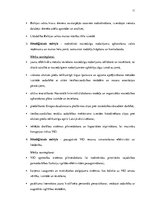Referāts 'Lietuvas Republikas Muitas administrācijas stratēģijas novērtējums', 11.