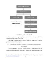 Diplomdarbs 'Šaubīgo un bezcerīgo debitoru novērtēšana sabiedrībā "X"', 18.