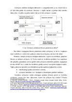 Diplomdarbs 'Šaubīgo un bezcerīgo debitoru novērtēšana sabiedrībā "X"', 21.