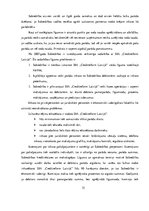 Diplomdarbs 'Šaubīgo un bezcerīgo debitoru novērtēšana sabiedrībā "X"', 51.