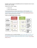 Eseja 'Nacionālā identitāte E.D.Smita skatījumā', 2.
