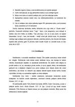 Referāts 'Maksājumu karšu tirgus attīstība Latvijā', 13.