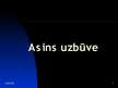 Prezentācija 'Asins uzbūve', 1.