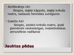 Prezentācija 'Metrika un piemēri no Aspazijas krājuma "Sarkanās puķes"', 6.