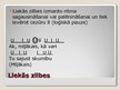 Prezentācija 'Metrika un piemēri no Aspazijas krājuma "Sarkanās puķes"', 9.