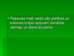 Prezentācija 'Meža resursi Latvijā un pasaulē', 4.
