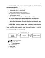 Konspekts 'Loģistika un tās lietošana uzņēmumos un ekonomiskajās sistēmās', 4.