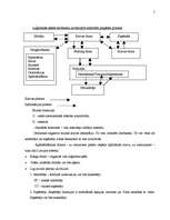Konspekts 'Loģistika un tās lietošana uzņēmumos un ekonomiskajās sistēmās', 5.