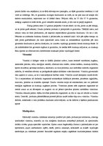 Referāts 'Uztura bagātinātāju un dopinga ietekme uz jaunieša organismu', 21.