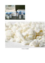 Referāts 'Uztura bagātinātāju un dopinga ietekme uz jaunieša organismu', 36.