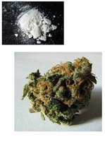 Referāts 'Uztura bagātinātāju un dopinga ietekme uz jaunieša organismu', 37.