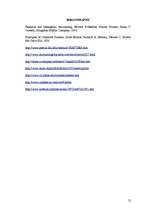 Referāts 'Long-Lived Assets', 20.