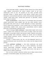 Konspekts 'Autortiesības', 3.