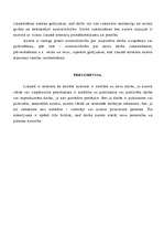 Konspekts 'Autortiesības', 4.